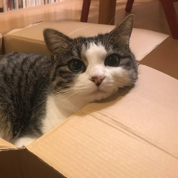 C1929f18 8a96 4721 a0b7 e11b28db92a5 1514793643069