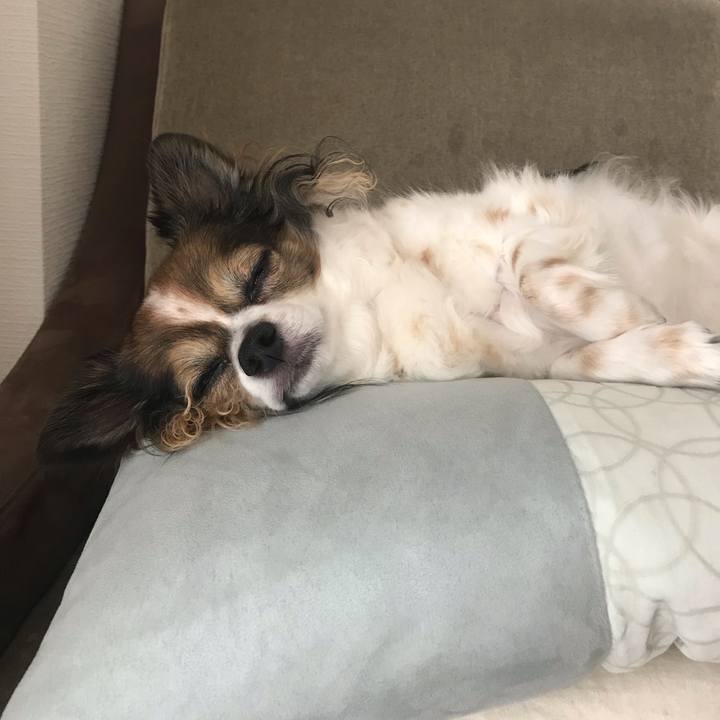 C192a5e2 3d5c 4445 9f97 d012a73055cf 1566911862697