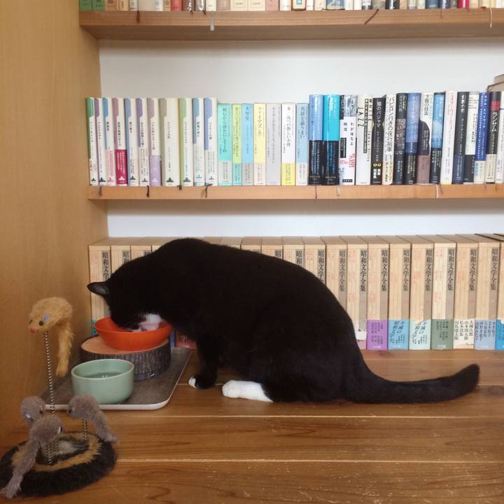 C192aff0 939e 4564 bb6f 9f23cffa9c0d 1559435788494