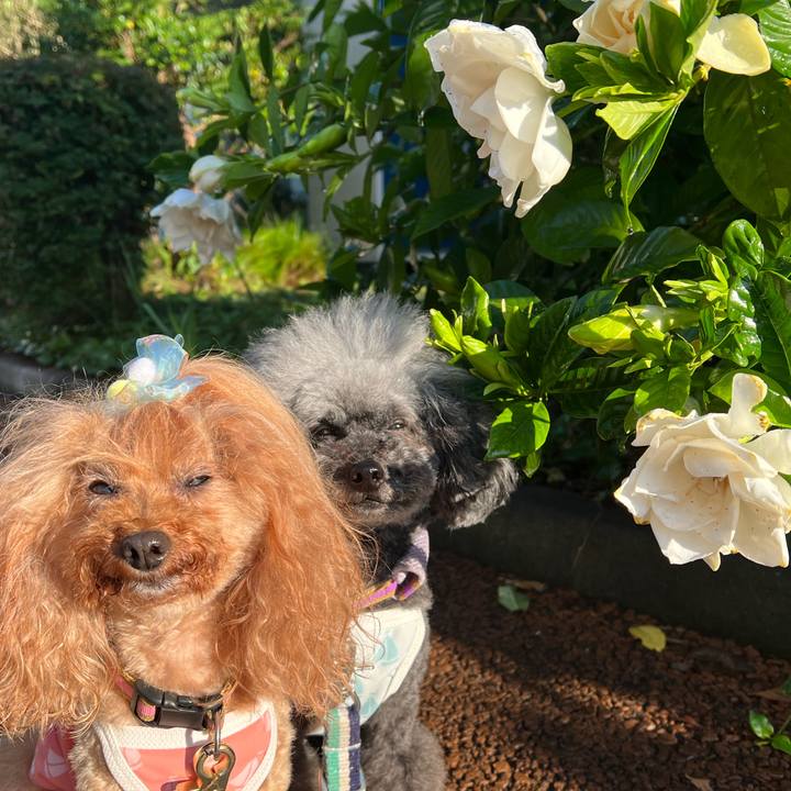 C192bac6 670d 4617 b097 2ab30a44aae0 1686872122410