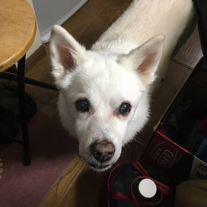 C192e170 50d3 4d8d bdc6 edc5d437fa6c 1527060258895