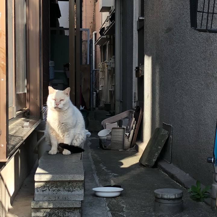 C192e22a 82f4 4d6e 9614 ea6fd8a87a18 1521276595624