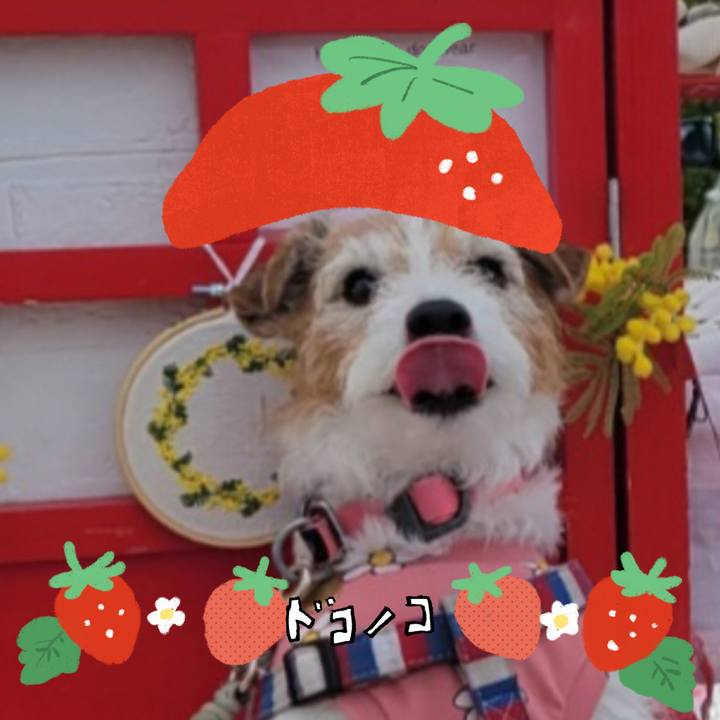 C192ebb7 c532 47db b679 8115d6cdfd61 1775199232469