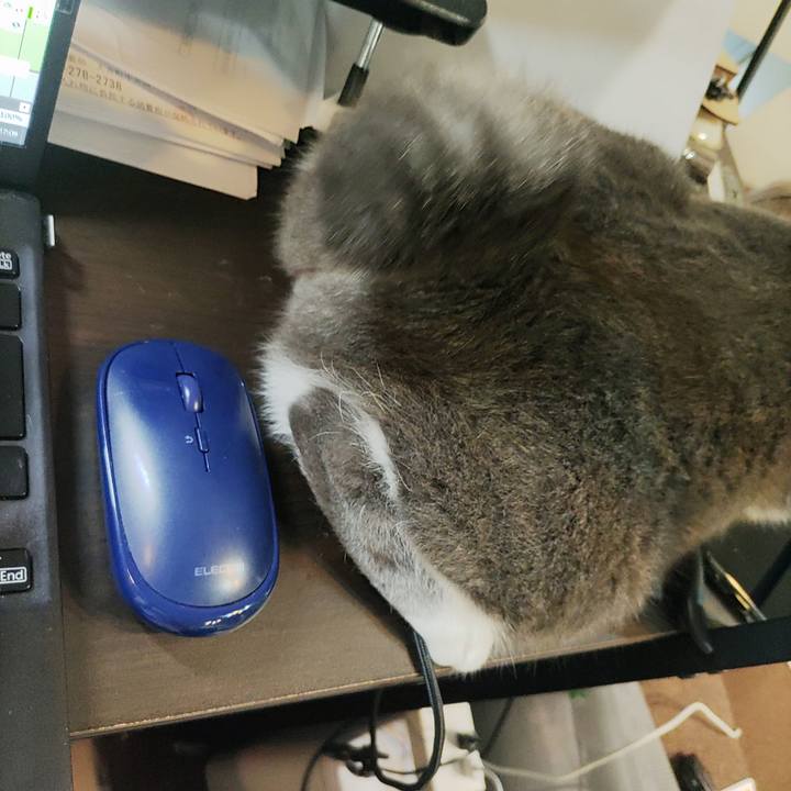 C193b16e c486 4941 b3a9 561585a11076 1724934946655