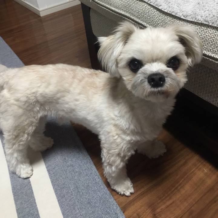 C19414c9 e338 4ed1 b9cf 41f130af5b21 1521722572769