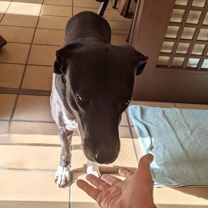 C1941a70 3148 48ac a2fd 49978b475abf 1705920057598