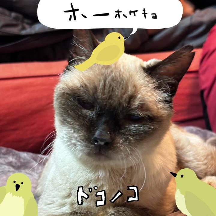 C1944b74 4b5e 4bc8 b5f8 a697ee4c4771 1710990313142