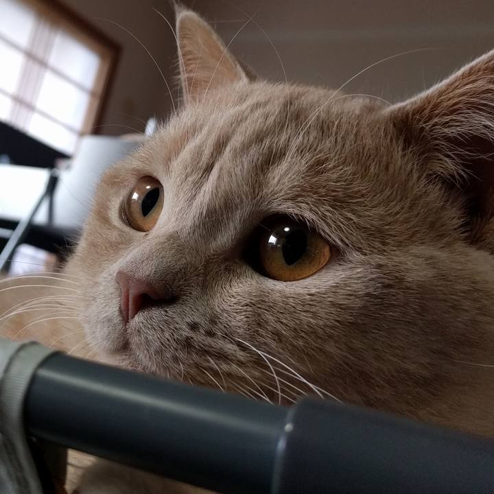 C1948c1e d98f 450f 982c 7f4abbdb73af 1528015287175