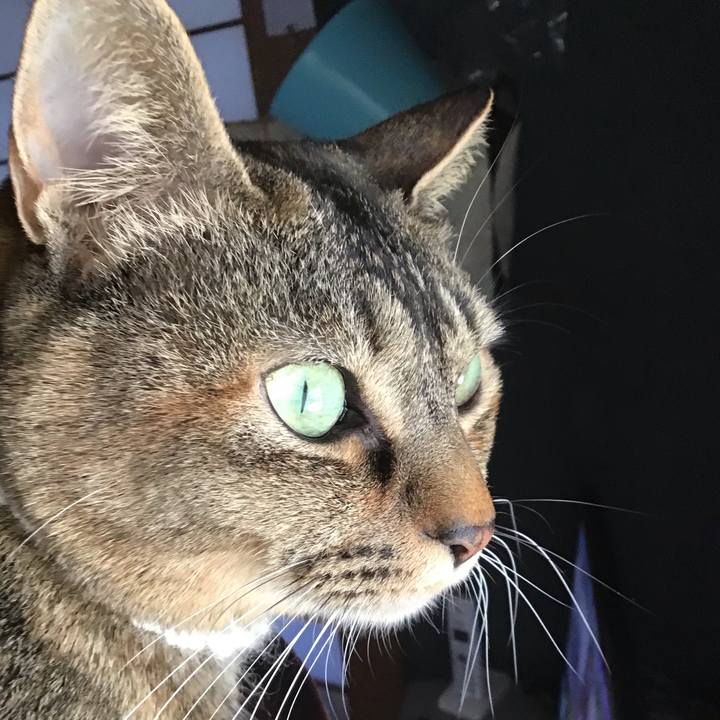 C1948f75 6092 4775 9e35 ca4e9b8246fc 1649495566035