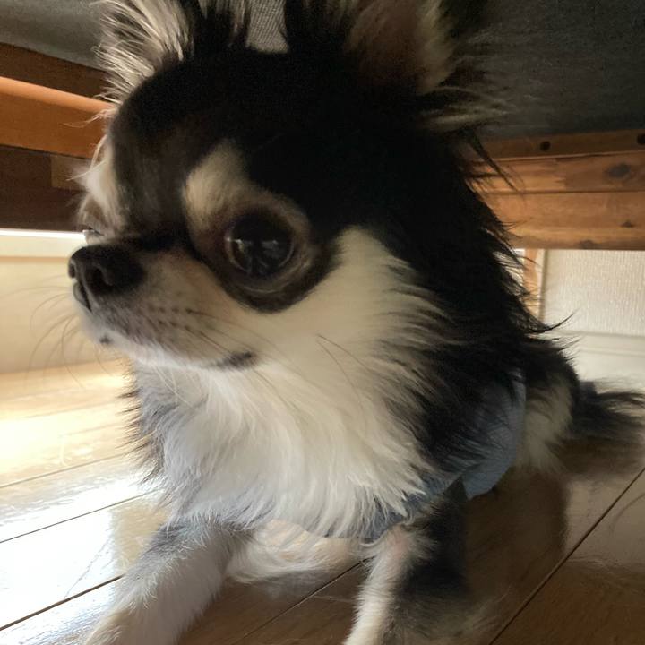 C195035a af80 4417 af61 fd978247db96 1652611234582