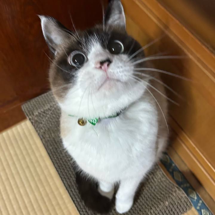 C1952c4a dfb7 4db5 9e53 8159a5f670a1 1762119964176