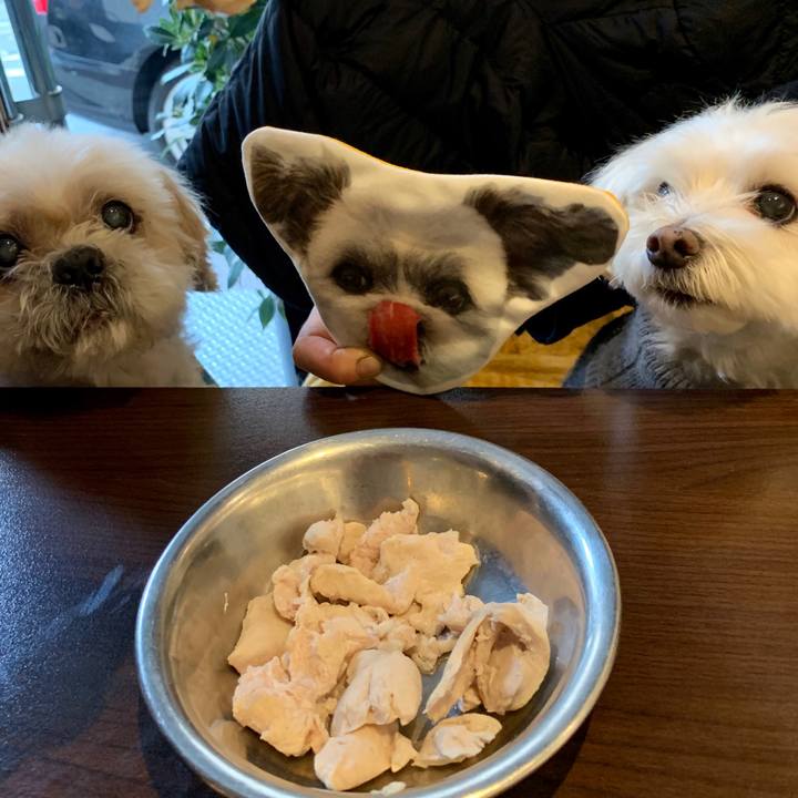 C1952d46 2df6 4e54 8507 25413e8a5766 1551611292973