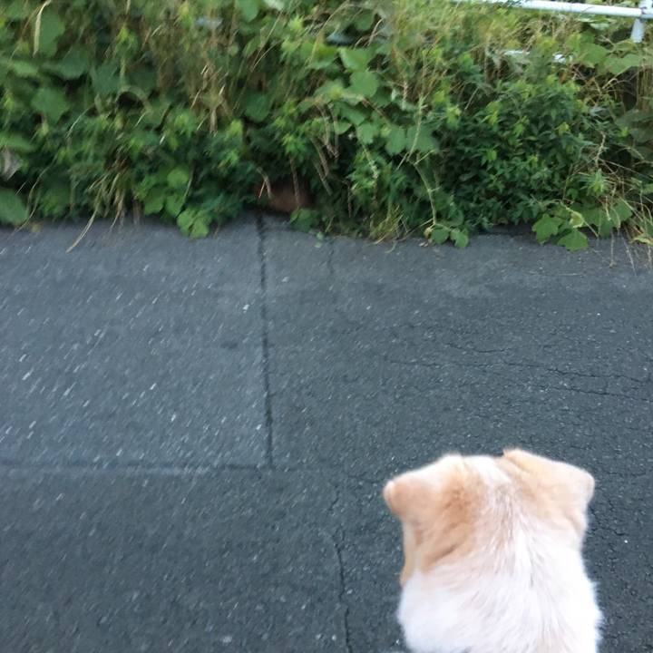 C1954b3f 7acc 4877 9c81 64a2b2f2decd 1529157361826