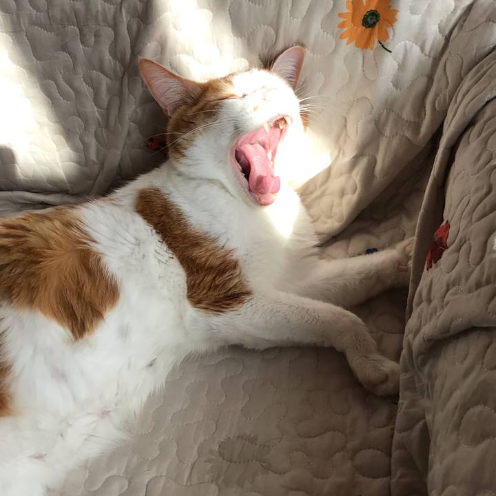 C1954b8a d047 42ff a479 98607674395e 1549856226661