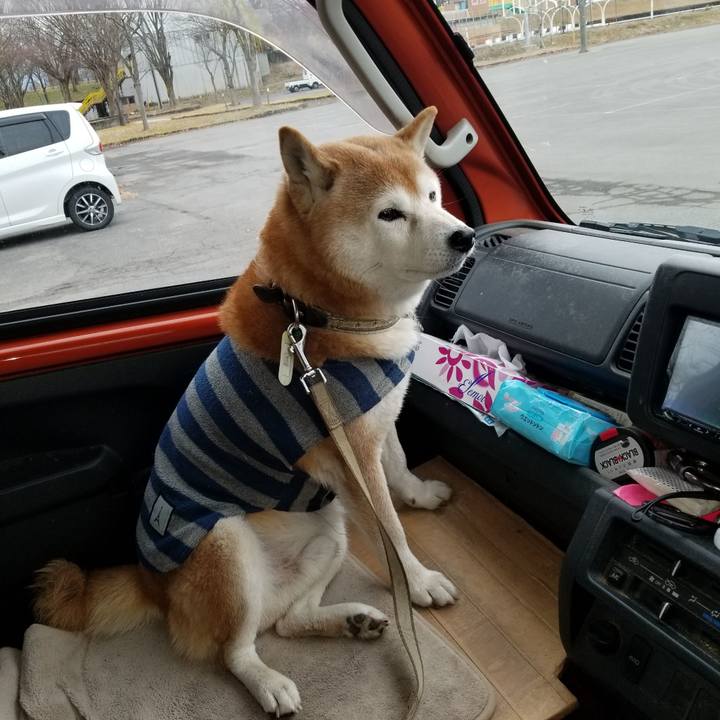 C1958933 c2e2 4ff8 ae82 cf0cd969d2d3 1671258359043