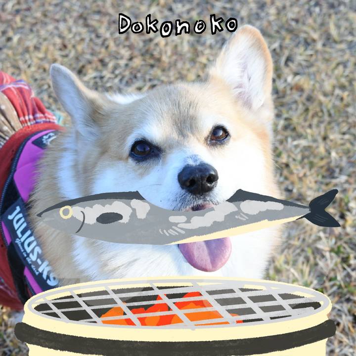 C195a815 0b0a 46ef 8db4 525f613e8efc 1761221817072