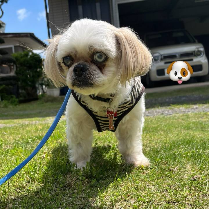 C195e453 8624 4936 a1b8 c12a609989bc 1714045036539