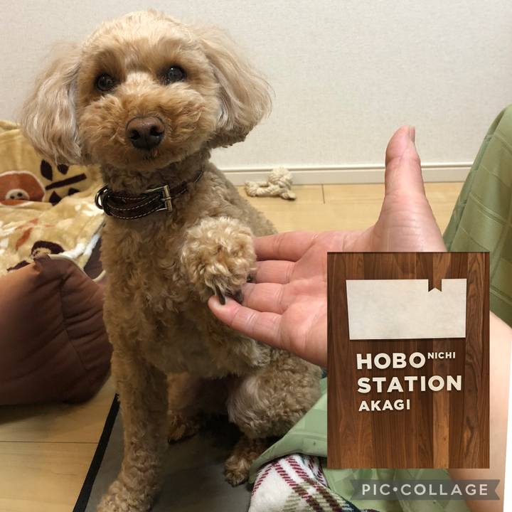 C19618dd 1383 46d3 b0c0 6d88f483c3d0 1775386296257