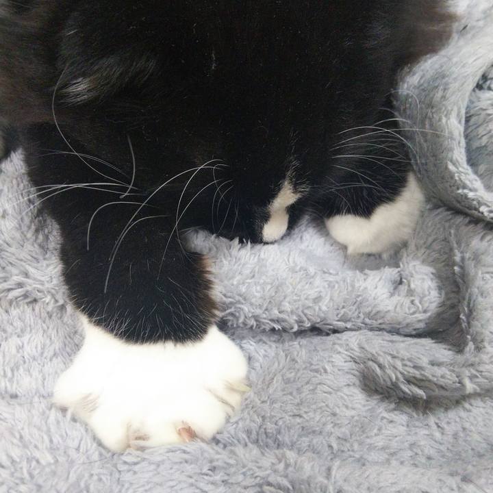 C1963af9 b9a9 489e 8d36 528f483c91f4 1655454183983