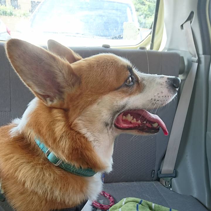 C196579e 866a 42da 8304 c9434dda53c0 1629250877774