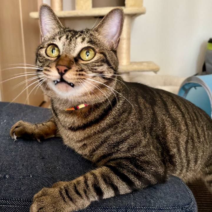 C1965a5e 336e 4309 a96f 3c564c5081cf 1758594748347