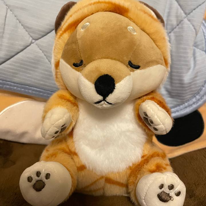 C196a493 4c7d 4040 ae00 9fc5eb7406d8 1640788109575