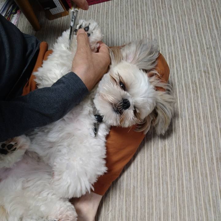 C196ec31 5cab 4204 9bcb 28e04e736dbd 1620266368205