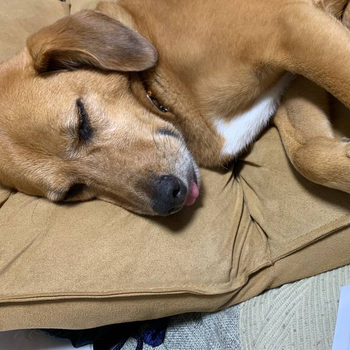 C196f58e afa6 43c0 9512 d4367b256423 1567776777289