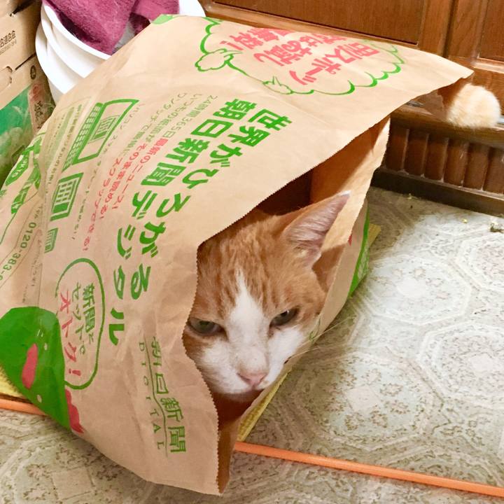 C1973423 aba4 4241 a7b0 d88acaf633e6 1568090120336