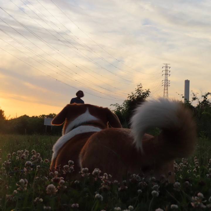 C1973f19 6b47 4140 8ea2 90df7fd07068 1623800416421