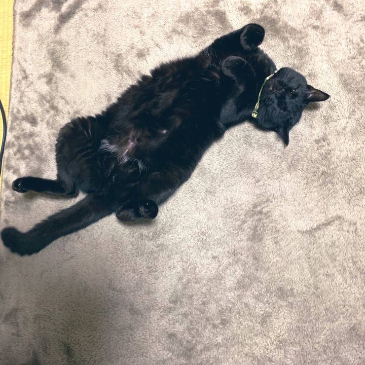 C1976509 8429 48de 8681 a8b420dbaf19 1575292132854