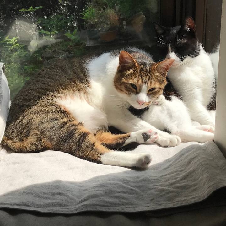 C1978160 de71 4128 8702 7b21acc28ee0 1525937044897