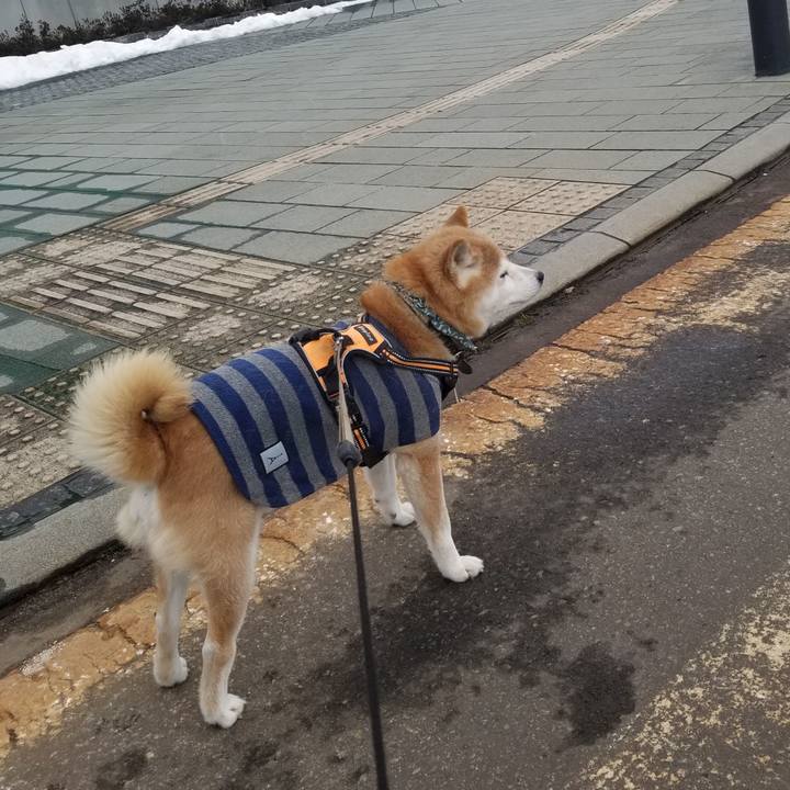 C1979150 94bf 47bc a970 67046ea99c81 1706932421139