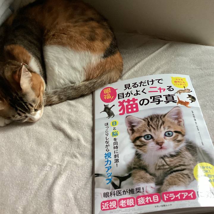 C19796cc a242 4c4a 9732 c6ce901a73de 1664436643663