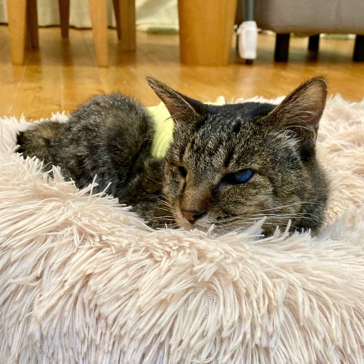 C197bb28 172f 4342 a2a7 7cbbedfb9896 1685096007939