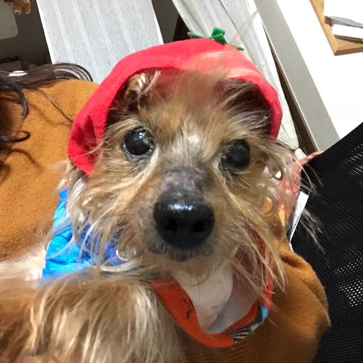 C197d7ac 49de 4ff9 8003 caa578a29c9a 1519287255128