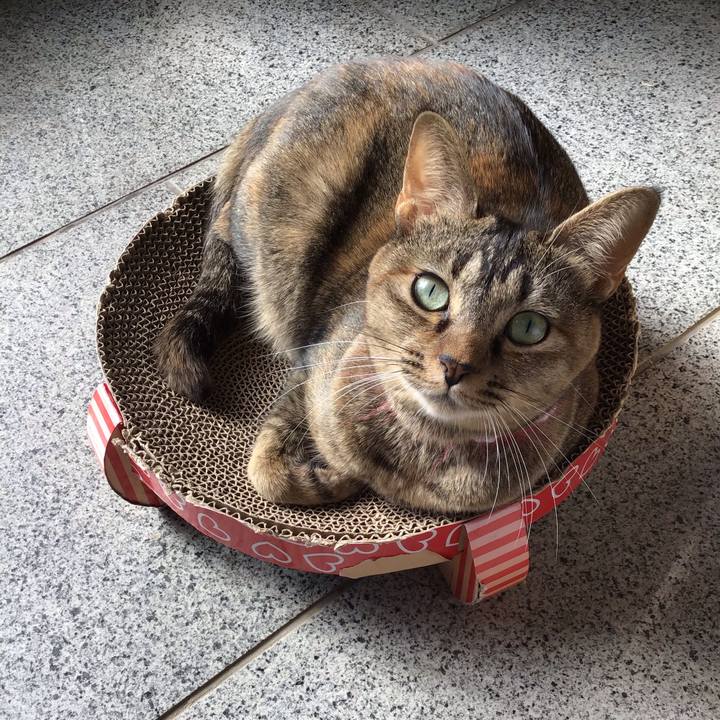 C197fbc3 21c4 4338 ae88 12f8bbb948d0 1604895616115