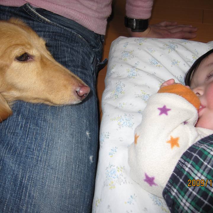 C1980029 10b6 4cff 8678 25903c2f23ac 1593297038706