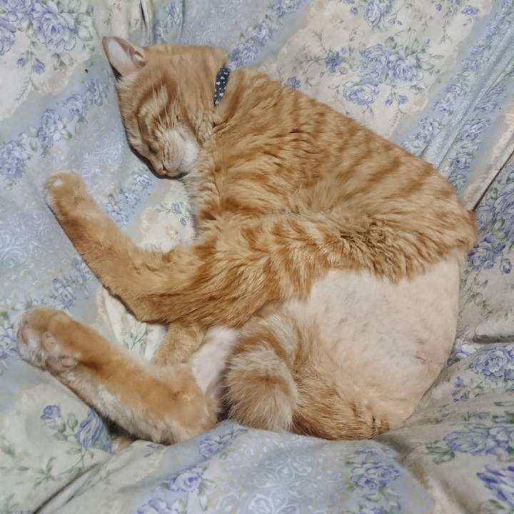 C1982e55 463f 4b0a bc3a bb3e79e89f78 1654432806063