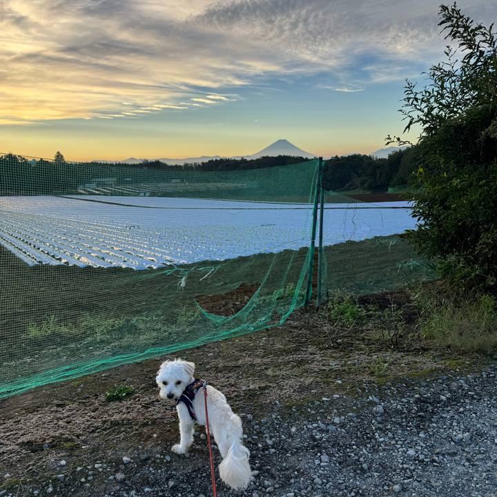 C19867ed c562 434e ade6 0c650b3f65c1 1760788043430