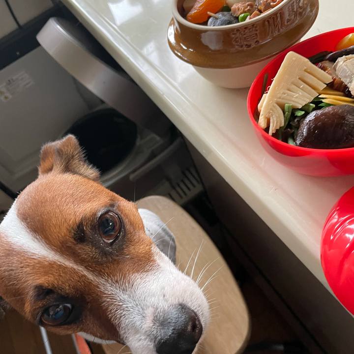 C1987f33 8fd3 4c83 b850 7788b0387dc4 1626082598823