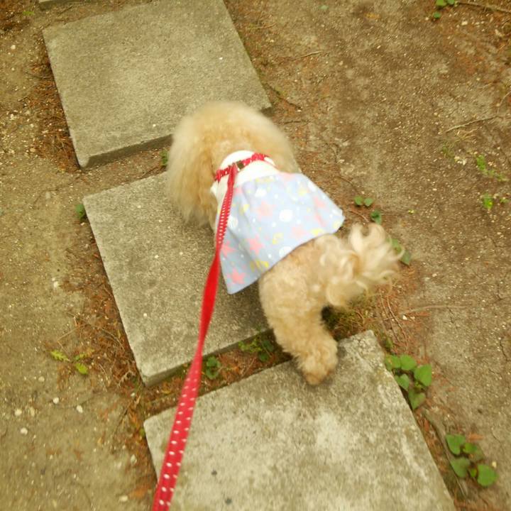 C1989275 9900 4982 88ae 6e527bb5d327 1559035884418