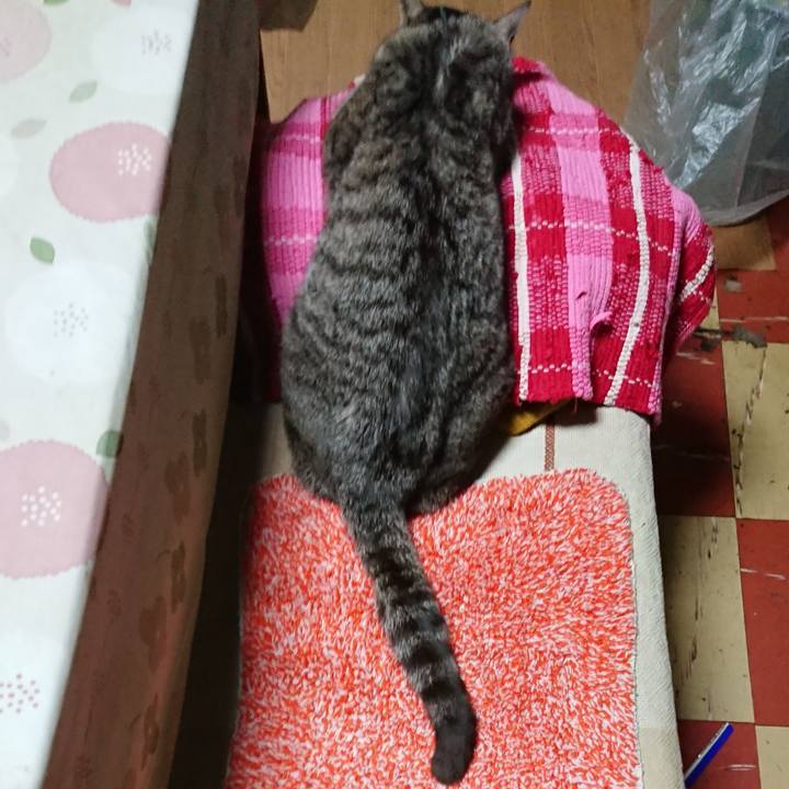 C198bde0 9f37 4f93 ae4d 0361a72f98a2 1551690350776