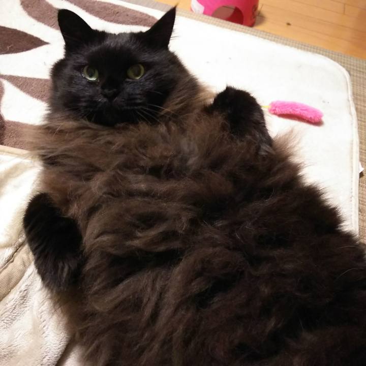 C198cb90 6145 45cc 8fcd ec82cd838a4c 1577109725475