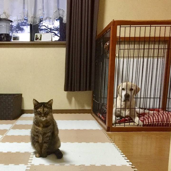 C198ed3c aa77 471b b4f0 b15e162842b4 1551606422400