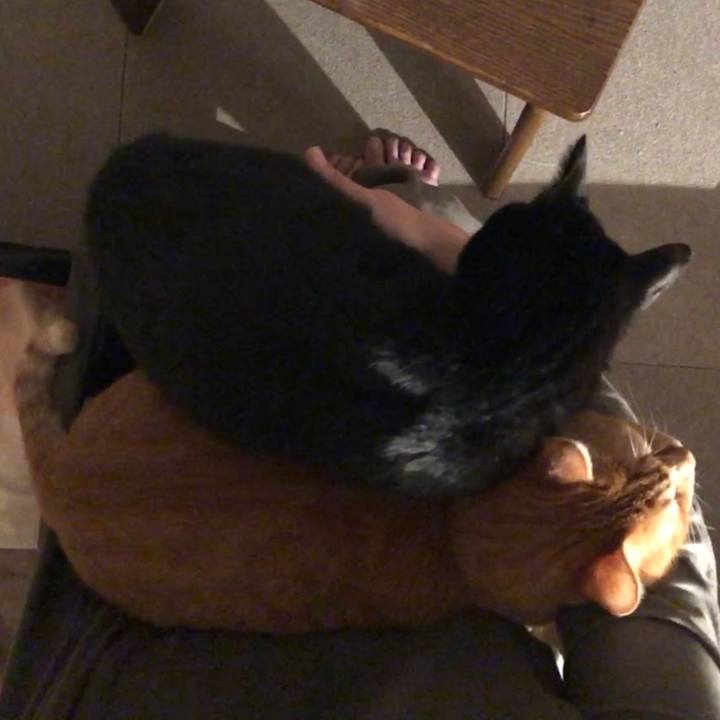 C1992525 83c8 41d1 aaec ecc2d4f2d470 1670938268209