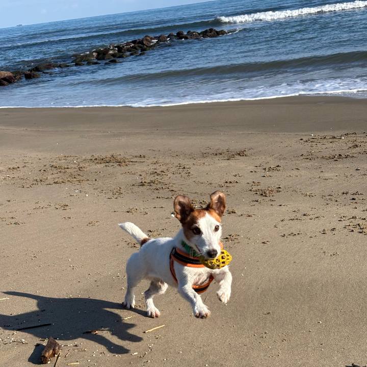 C1994d46 23e4 48b1 9d89 dee1a0ae9417 1766026257428