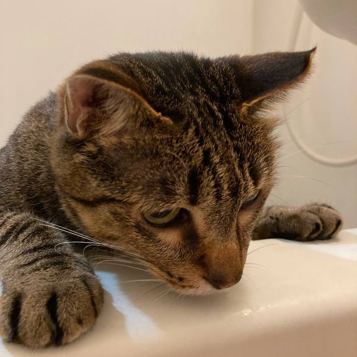 C1995231 873a 467d 9839 febc8fff5c8e 1624861893966