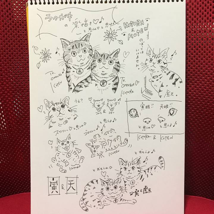 C199bb2e 140f 43e8 b41b c9df6c192de0 1575387492151