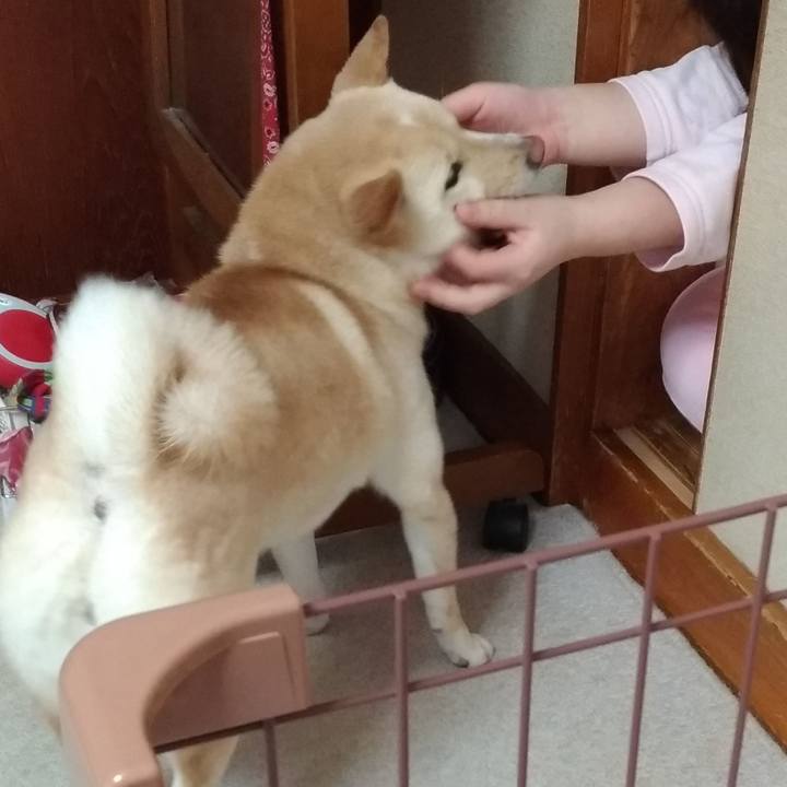 C199ec1b cd3b 4366 91cb 89fc9d5e6a50 1549845638961